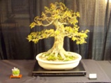 Annual Show 2011 - 9 2011